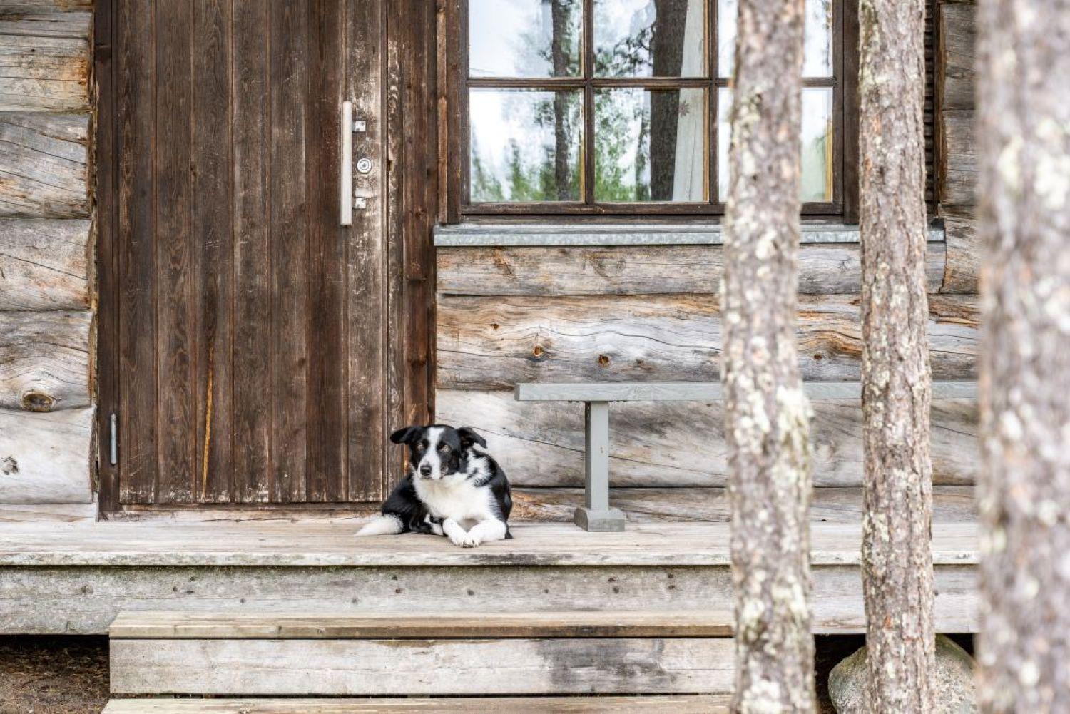 Holiday Village Himmerki Posio Exterior photo